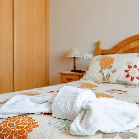 شقة Brisas Carlos I I I ريباديو