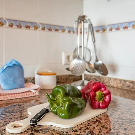 شقة Brisas Carlos I I I *